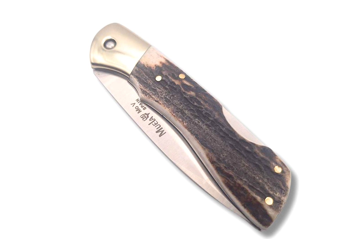 Navaja Muela BX‑8A | Cachas Asta de Ciervo – Back‑Lock - Imagen 3