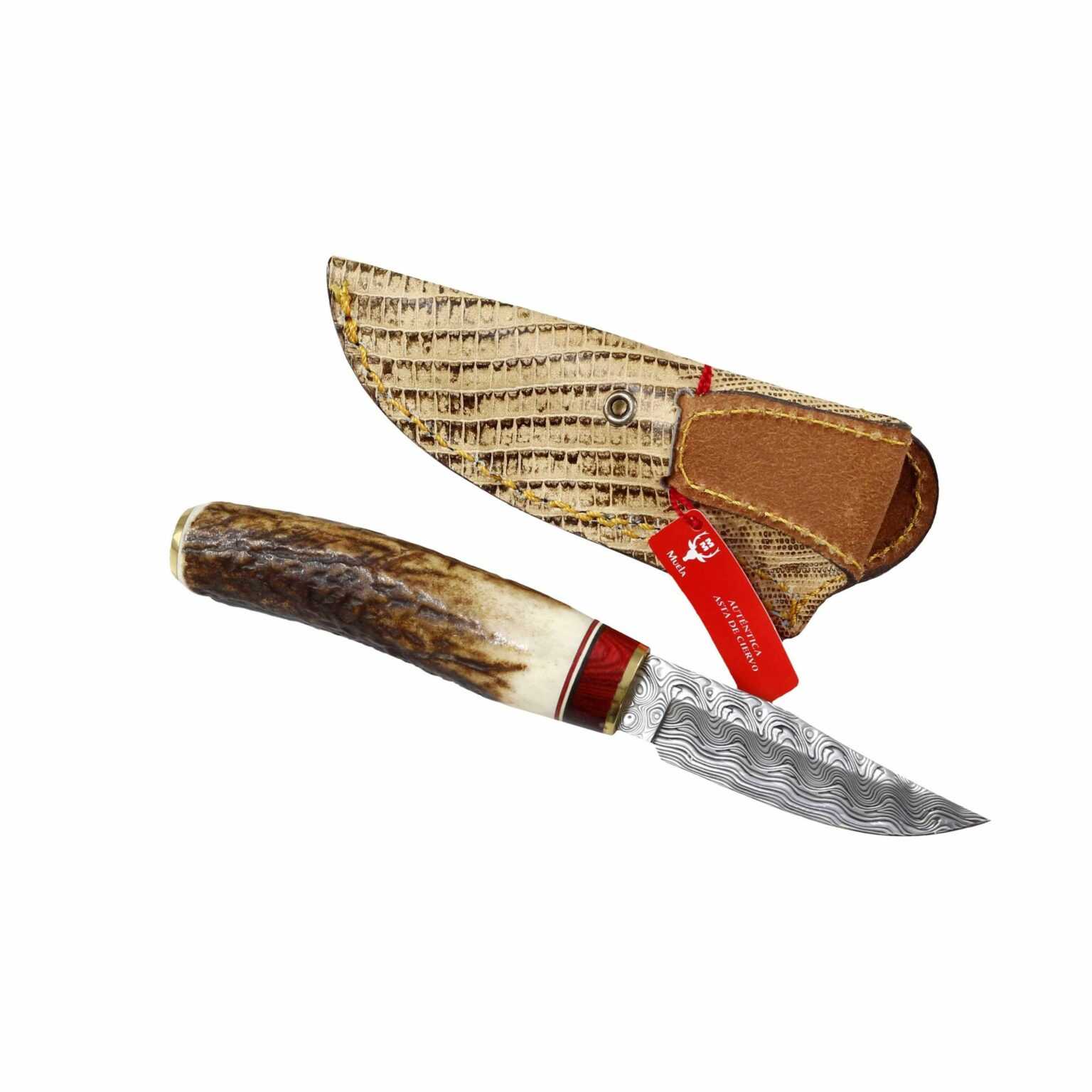 Cuchillo Muela BW-6DAM Damasco - Imagen 4