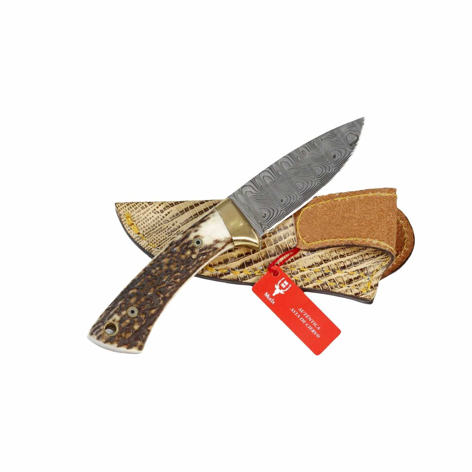 Cuchillo Muela COL-7DAM Damasco - Imagen 3