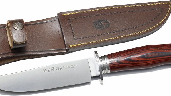 Cuchillo Muela (España). Hoja tipo bowie de acero inoxidable MoVa. Empuñadura en madera de coral, guarda, virola y pomo en acero inoxidable, funda de cuero para el cinto de color marrón.