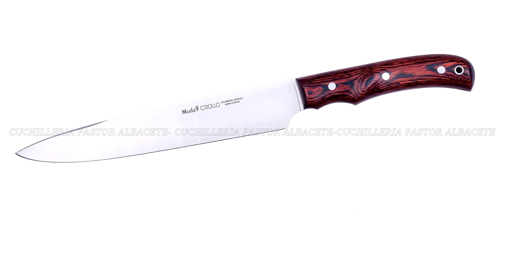 Cuchillo Muela Criollo - Madera Coral - Funda Cuero - Imagen 3