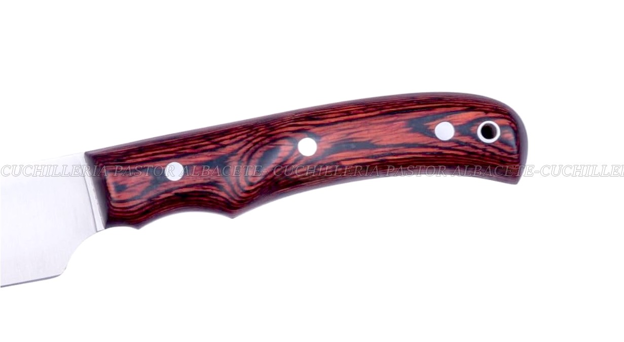 Cuchillo Muela Criollo - Madera Coral - Funda Cuero - Imagen 4