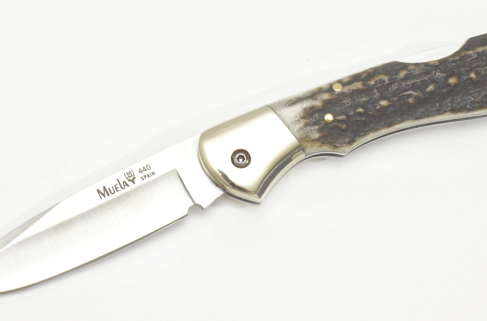 Navaja Muela BX‑8A | Hoja 8,5 cm – Cachas Asta de Ciervo – Back‑Lock