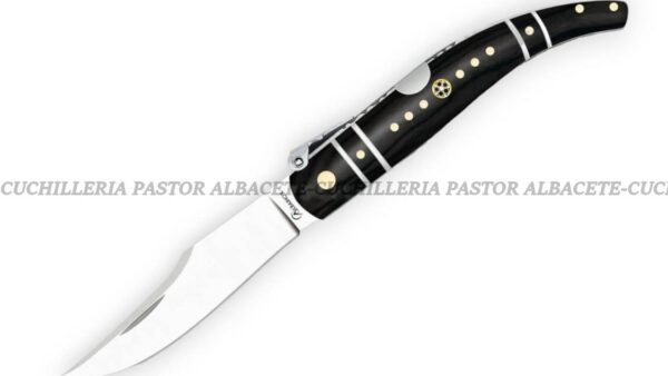 La navaja clásica Albainox Nº 0 con mango negro decorado es una pieza elegante que combina tradición y diseño. Perfecta para coleccionistas y amantes de las navajas clásicas, destaca por su estética cuidada y su construcción robusta.
